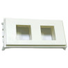 Outlet Panel for 2 x Keystone