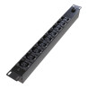 Vertiv PwrGo Rack PDU Basic 1U 10A 220V