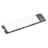 TP 1TB SSD PERFORM PCIE G4