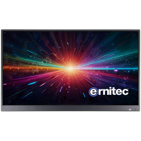 22" Surveillance monitor for