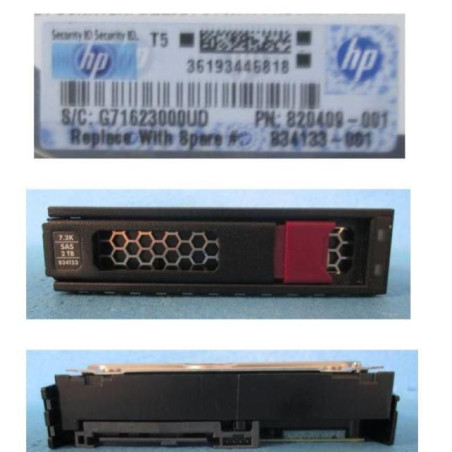 DRV HD 2TB 12G 7.2K 3.5 SAS