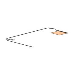 Antenna Dual