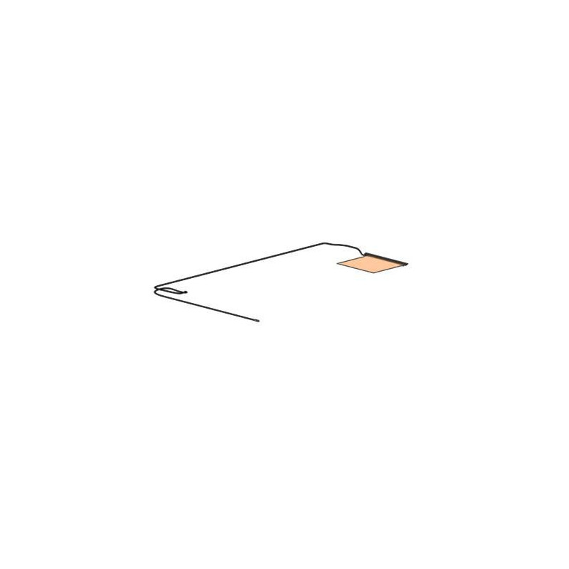 Antenna Dual