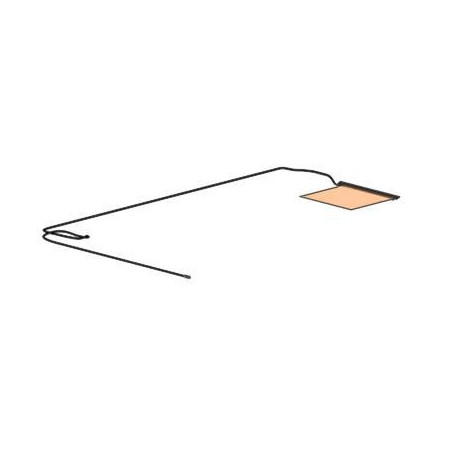 Antenna Dual