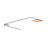 Antenna Dual