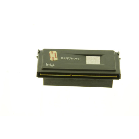 Processor, with Heat Sink
