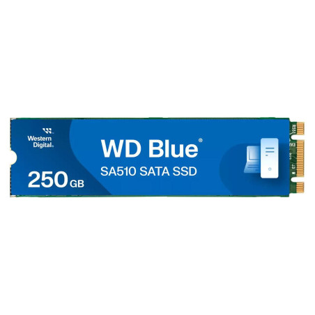 Blue SA510 M.2 250 GB Serial