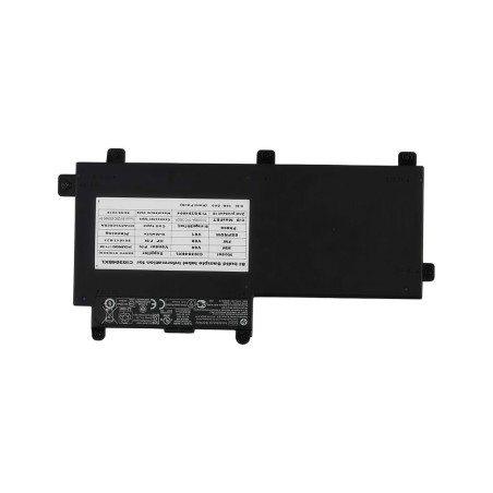 Battery (Primary)