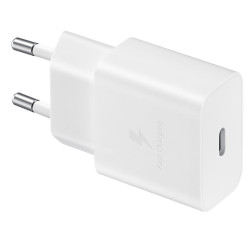 Common White 15W Power Adapter
