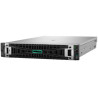 Servidor HPE ProLiant DL380 Gen12 Intel Xeon 6505P/ 64GB Ram | APLIUM