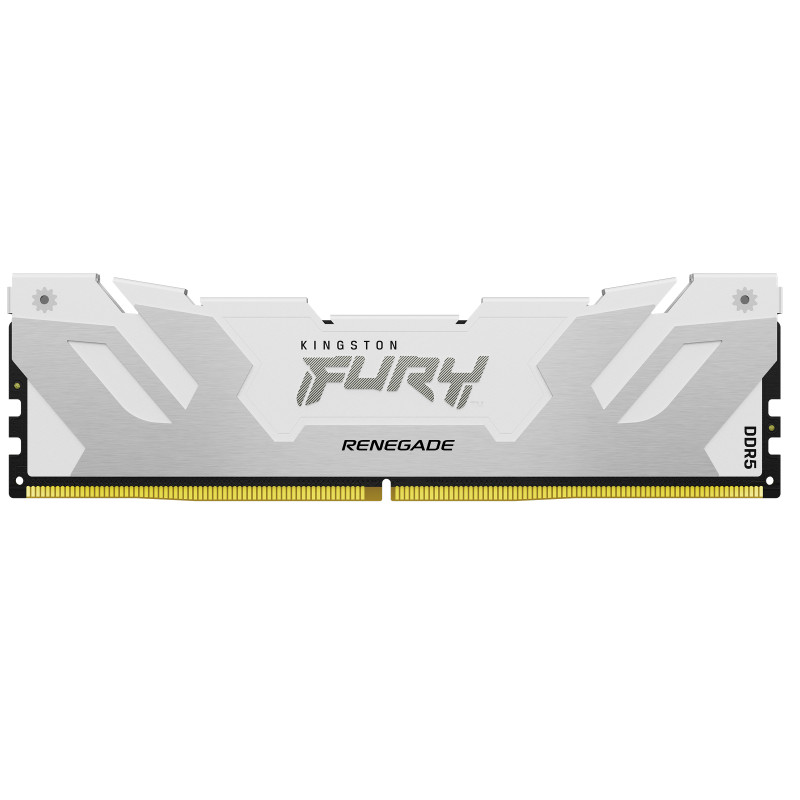 24GB 8000MT/s DDR5 CL38 DIMM FURY Renega
