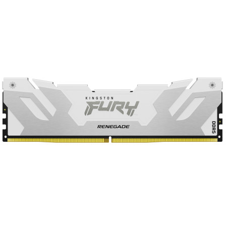 24GB 8000MT/s DDR5 CL38 DIMM FURY Renega