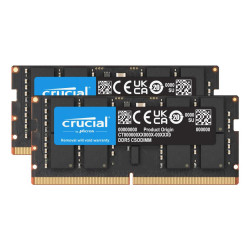 Crucial - DDR5 - kit - 48 GB: 2 x 24 GB - SO DIMM de 262 con | APLIUM