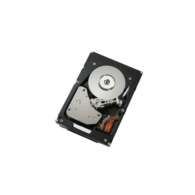 300Gb FC 4Gbps 15K E-DDM H
