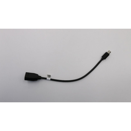 Cable 265mm mindp to DP cab