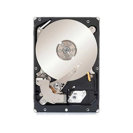 1TB 6G SAS Drive Module