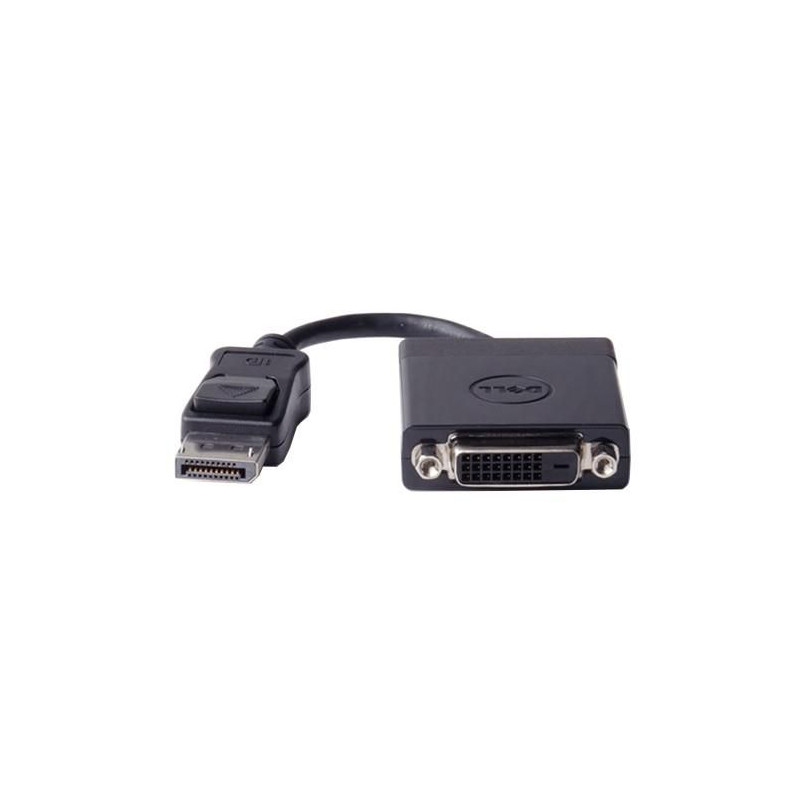 Cable Display Port DVI Adaptor