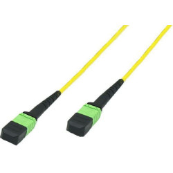 Fiber Patch Cable - MTP -