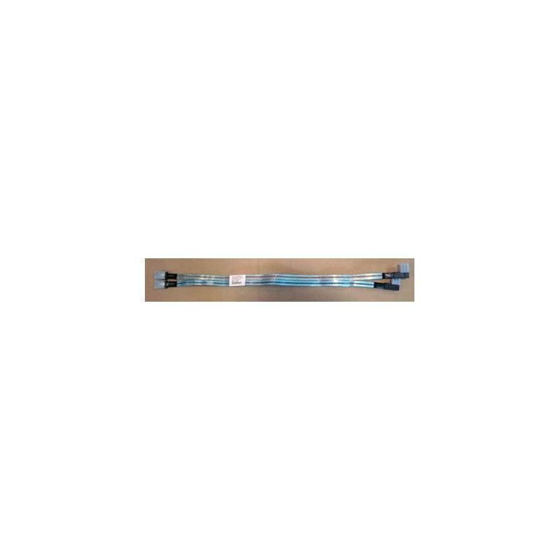 Sff Ribbon Minisas