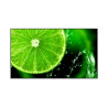 E988 98" Essential display,