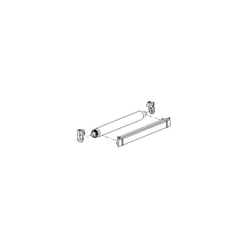 Platen Roller