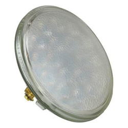 RAM SPOTLIGHT REPL BULB PAR