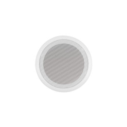 Ceiling Speaker CF0207166009