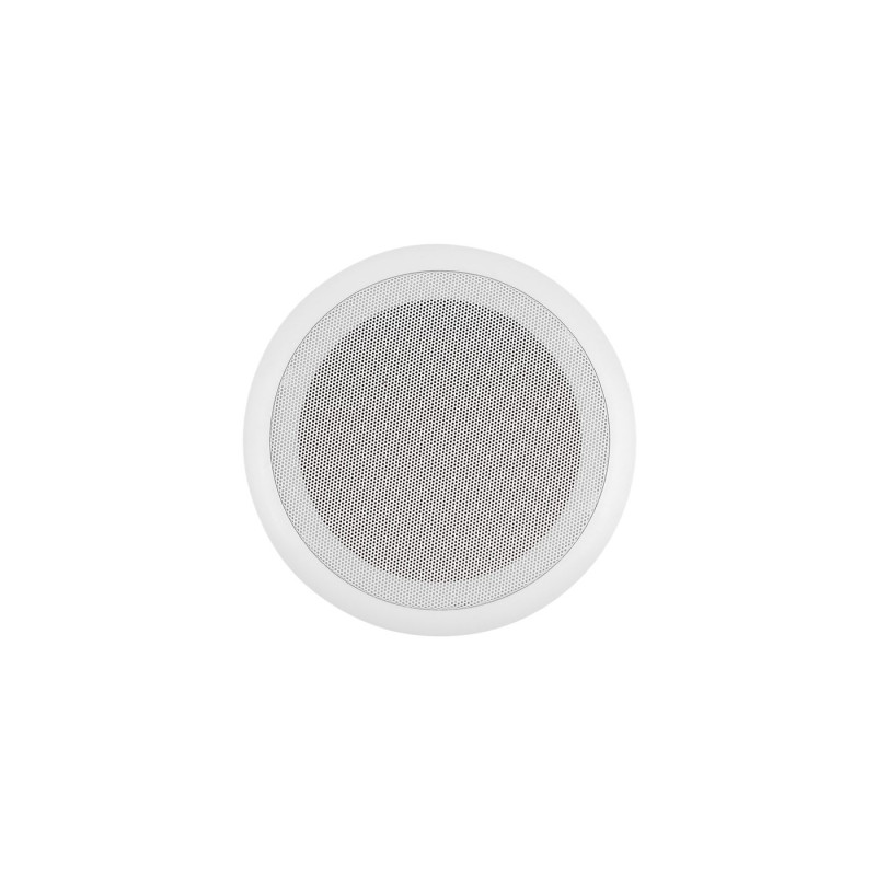 Ceiling Speaker CF0207166009