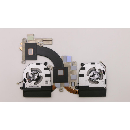 Thermal module with dual fan