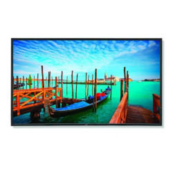 MultiSync V552 55" Display