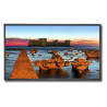 MultiSync X551UHD 55" Display