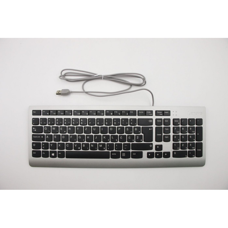 USB Keyboard with Slovenian