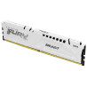 16GB 5600 DDR5 DIMM FURY Beast WHT EXPO