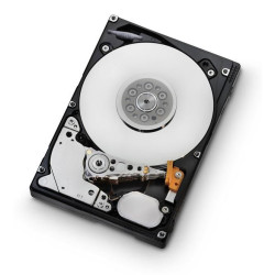 900GB SAS 10000RPM 64MB