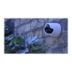 Axis M3116-LVE Compactmini Dome 4 Mp At Up To 30 Fps Fixed L | APLIUM
