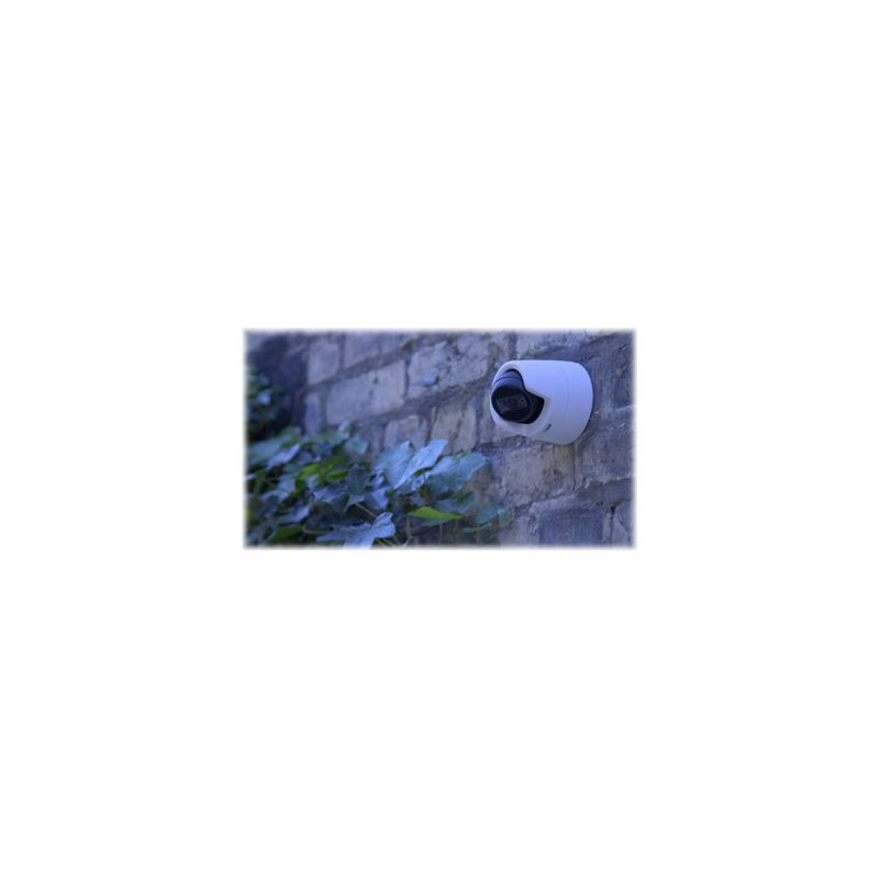 Axis M3116-LVE Compactmini Dome 4 Mp At Up To 30 Fps Fixed L | APLIUM