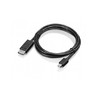 Mini-DisplayPort to DisplayPort