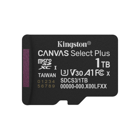 1TB micSDXC Canvas Select Plus w/o ADP