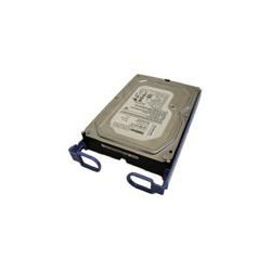ThinkServer 500GB