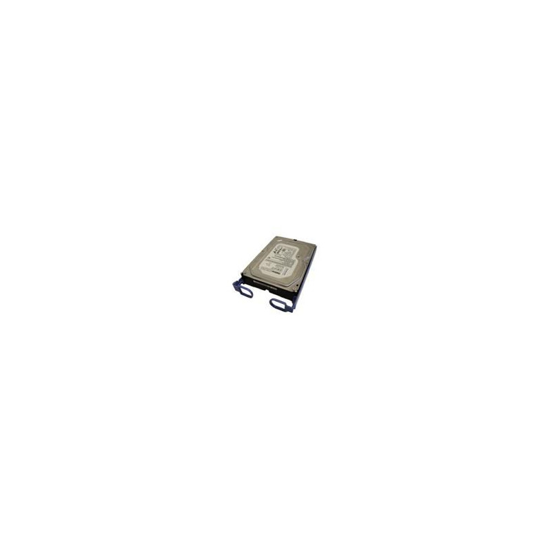 ThinkServer 500GB