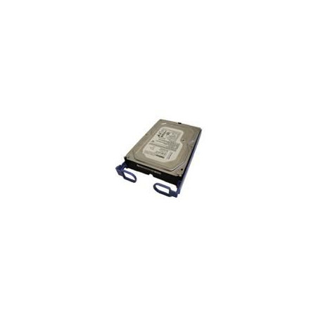 ThinkServer 500GB
