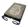 ThinkServer 500GB