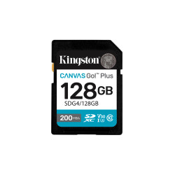 128GB SDXC Canvas Go Plus Gen4 C10