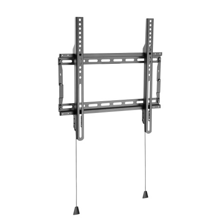 Basic Medium Wall Mount (100