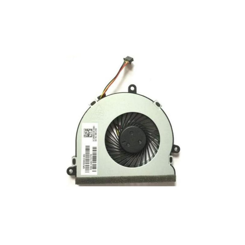 Fan