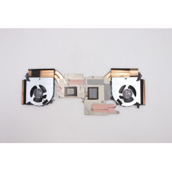 Thermal management module for