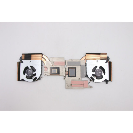 Thermal management module for