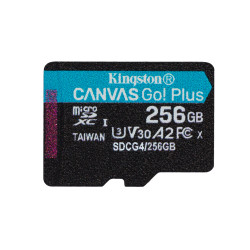 256GB microSDXC Canvas Go Plus w/o ADP