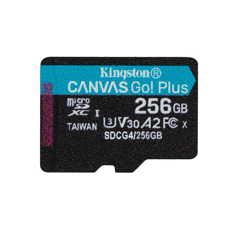 256GB microSDXC Canvas Go Plus w/o ADP