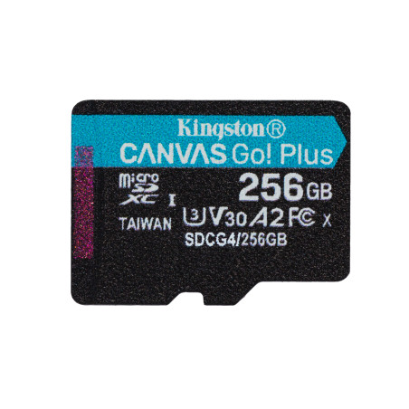 256GB microSDXC Canvas Go Plus w/o ADP